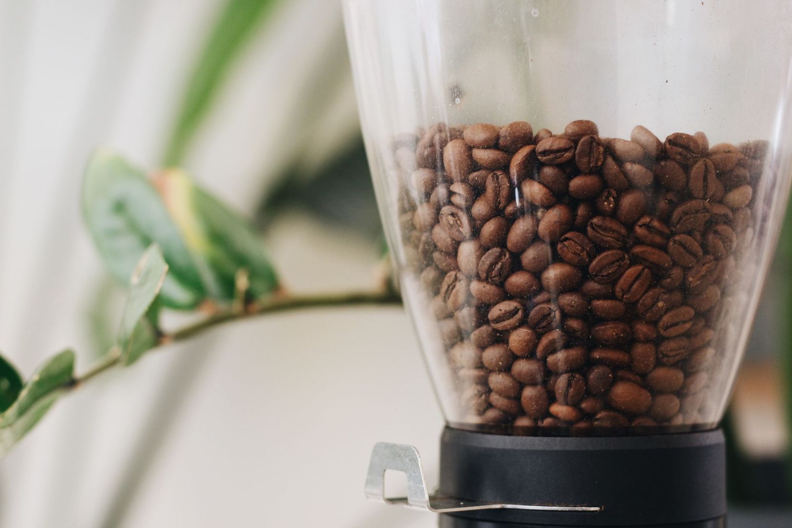 JURA Coffee Machine Not Grinding: Causes and Next Steps