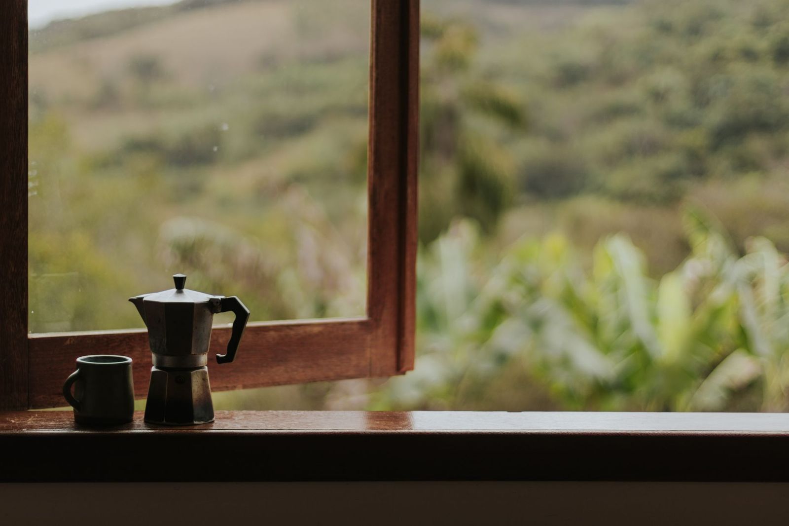 Coffee Maker Not Working: Causes and Next Steps